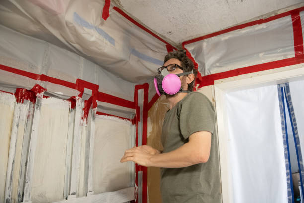 Mold Documentation for Insurance Claims in Glouster, OH